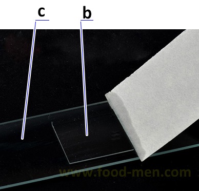 Schematic diagram 2 of slide and coverslip placement