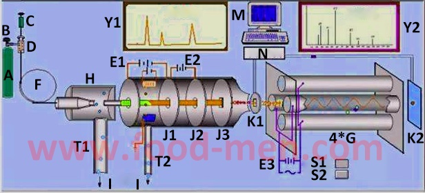 Gas chromatography-mass spectrometer 2