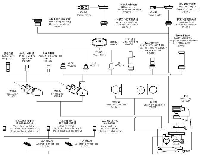 Structure Diagram of XD-1 Inverted Biological Microscope