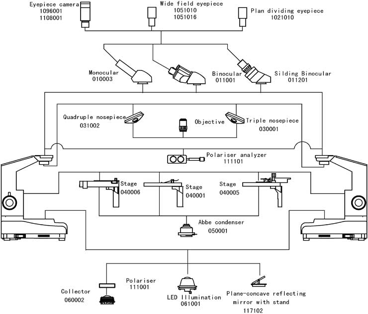 Structure Diagram of LP-135 Biological Microscope