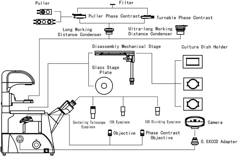 Structure Diagram of XD-3PMC Inverted Biological Microscope