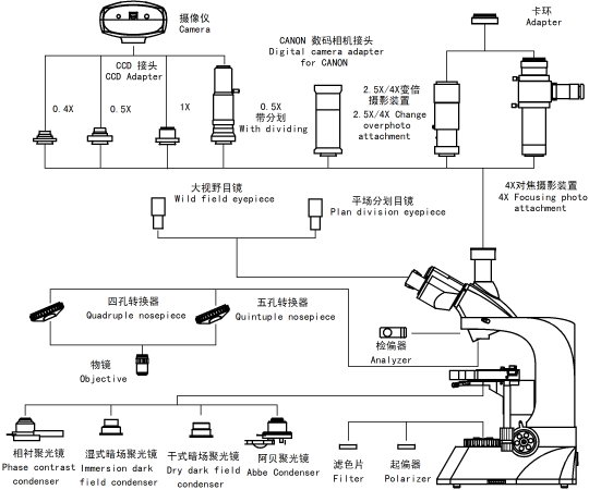 Structure Diagram of LP-32 Biological Microscope