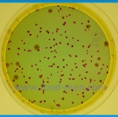 Equipment of Aerobic Plate Count