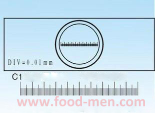 Picture of microscope objective micrometer